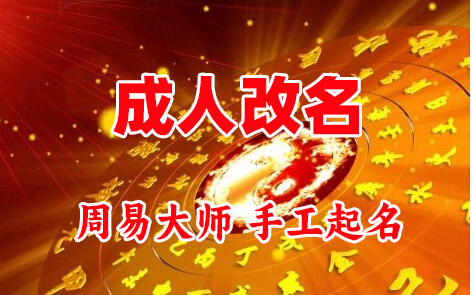 兴宾成人改名-找大师一对一改名先分析后改名